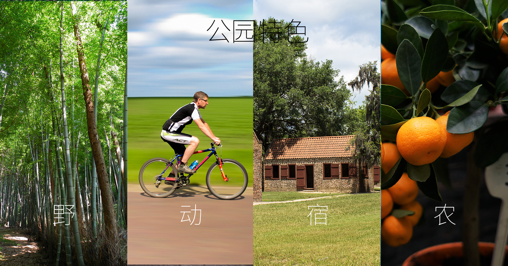 長(cháng)興島郊野公園_畫(huà)板 1 副本 23.jpg